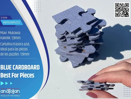 Anatolian - Bookshelves Jigsaw Puzzle (1000 Pieces)