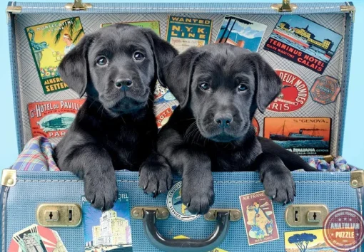 Anatolian - Travel Labs Jigsaw Puzzle (500 Pieces)