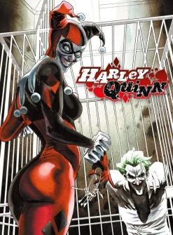 Aquarius - Harley Quinn and Joker 500 Piece Puzzle