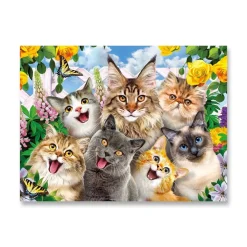 Arrow Puzzles - Selfies - Feline Friends by Howard Robinson 300 Piece