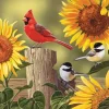 Bits and Pieces - 500 Piece Jigsaw Puzzle 46cm x 60cm - Sunflower and