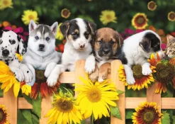 Buffalo Games - Adorable Animals - The Gang's All Here - 300 Large Pie