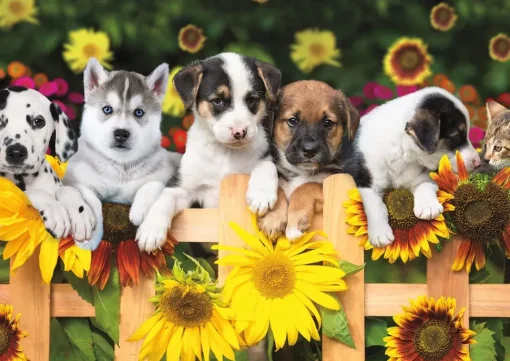 Buffalo Games - Adorable Animals - The Gang's All Here - 300 Large Pie