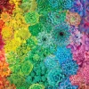 Buffalo Games - Succulent Rainbow - 1000 Piece Jigsaw Puzzle