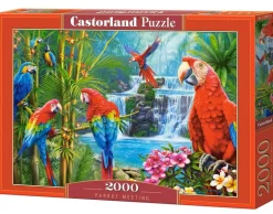 Castorland - Parrot Meeting Jigsaw Puzzle (2000 Pieces)