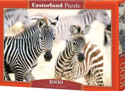 Castorland - Young Zebras Jigsaw Puzzle (1000 Pieces)