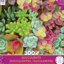 Ceaco - Succulents - Bright Succulents - XL Jigsaw Puzzle (300 Pieces)