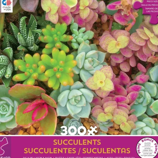 Ceaco - Succulents - Bright Succulents - XL Jigsaw Puzzle (300 Pieces)