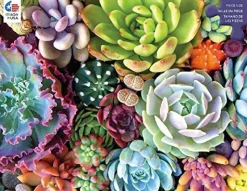 Ceaco Succulent Synergy Puzzle - 300 Pieces