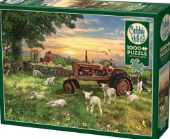 Cobble Hill - Field at Sunrise Jigsaw Puzzle (1000 Pieces)