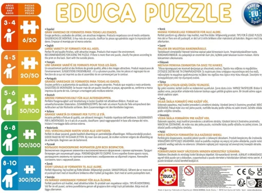 Educa - 4 Progressive Puzzles: Day In School 20+40+60+80pc Jigsaw Puzz