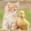 Educa - Adorable Friends Jigsaw Puzzle (500 Pieces)