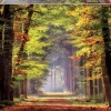 Educa - Autumn Walkway Jigsaw Puzzle (1000 Pieces)