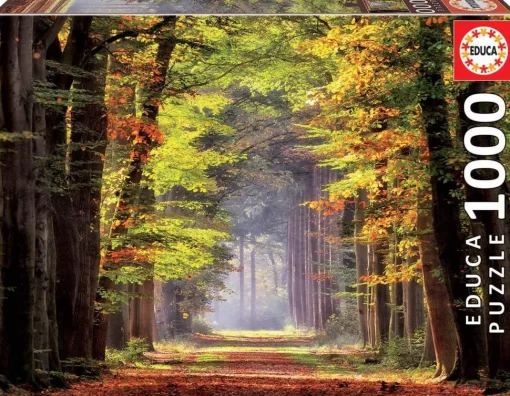 Educa - Autumn Walkway Jigsaw Puzzle (1000 Pieces)