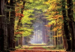 Educa - Autumn Walkway Jigsaw Puzzle (1000 Pieces)