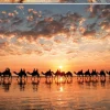 Educa - Golden Sunset Cable Beach Jigsaw Puzzle (1000 Pieces)