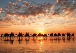 Educa - Golden Sunset Cable Beach Jigsaw Puzzle (1000 Pieces)