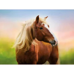 Educa - Horse At Sunrise Jigsaw Puzzle (500 Pieces)