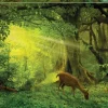 Educa - Little Deer Jigsaw Puzzle (500 Pieces)