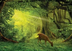Educa - Little Deer Jigsaw Puzzle (500 Pieces)