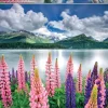 Educa - Lupis On Shores Of Lake Sils Jigsaw Puzzle (1500 Pieces)