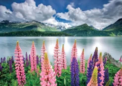 Educa - Lupis On Shores Of Lake Sils Jigsaw Puzzle (1500 Pieces)