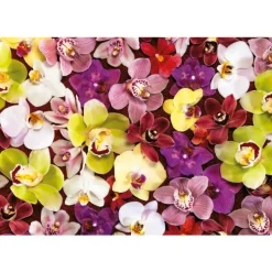 Educa - Orchid Collage Jigsaw Puzzle (1000 Pieces)