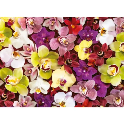 Educa - Orchid Collage Jigsaw Puzzle (1000 Pieces)