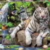 Educa - White Tigers of Bengal Jigsaw Puzzle (1000 Pieces)