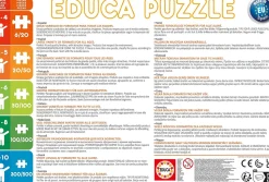 Educa - 2x20p Forest Tales Jigsaw Puzzle (40 Pieces)