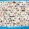 EuroGraphics - World Of Dogs Jigsaw Puzzle (1000 Pieces)