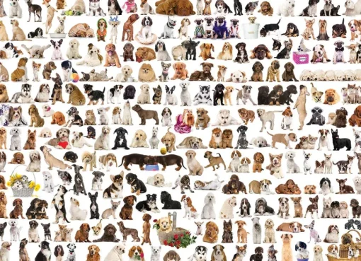 EuroGraphics - World Of Dogs Jigsaw Puzzle (1000 Pieces)