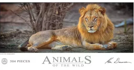 Ken Duncan - Animals of the Wild - Lion of Zimbabwe 504 Piece Jigsaw P