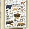 Masterpieces Puzzle Poster Art Mammals of Yellowstone National Park Pu