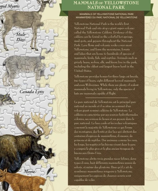 Masterpieces Puzzle Poster Art Mammals of Yellowstone National Park Pu