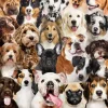 Peter Pauper Press - All the Dogs Jigsaw Puzzle (1000 Pieces)