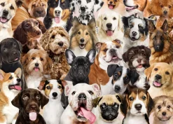 Peter Pauper Press - All the Dogs Jigsaw Puzzle (1000 Pieces)