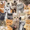 Peter Pauper Press - All The Cats Jigsaw Puzzle (500 Pieces)
