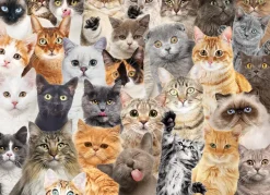 Peter Pauper Press - All The Cats Jigsaw Puzzle (500 Pieces)