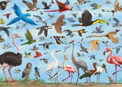Peter Pauper Press - All the Birds Jigsaw Puzzle (1000 Pieces)
