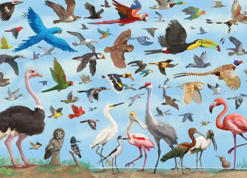 Peter Pauper Press - All the Birds Jigsaw Puzzle (1000 Pieces)