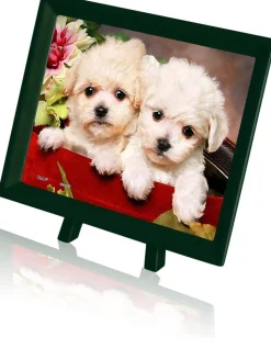 Pintoo - Puppies in Gift Box Plastic Jigsaw Puzzle (150 Pieces)