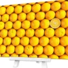 Pintoo - Showpiece Xs - Fruits - Orange Plastic Jigsaw Puzzle (368 Pie