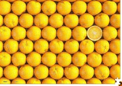 Pintoo - Showpiece Xs - Fruits - Orange Plastic Jigsaw Puzzle (368 Pie