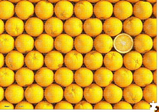 Pintoo - Showpiece Xs - Fruits - Orange Plastic Jigsaw Puzzle (368 Pie