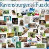 Ravensburger - Funny Animals Jigsaw Puzzle (1500 Pieces)