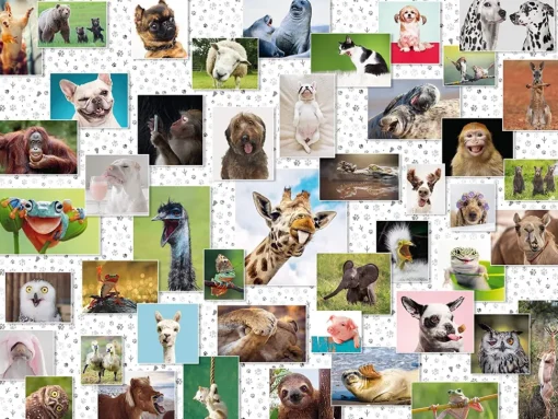 Ravensburger - Funny Animals Jigsaw Puzzle (1500 Pieces)