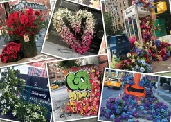 Ravensburger - NYC Flower Flash 1000 Piece Puzzle