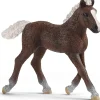 Schleich Schleich Black Forest Foal Figurine Figurine