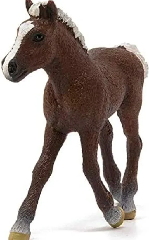Schleich Schleich Black Forest Foal Figurine Figurine